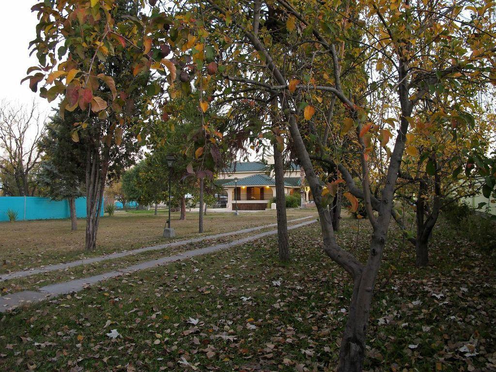 Villa Los Sauces Чакрас-де-Кория Экстерьер фото